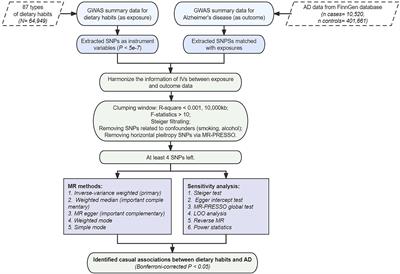 Genetically determined dietary habits and risk of Alzheimer’s disease: a Mendelian randomization study